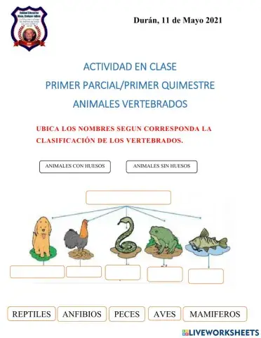 Animales vertebrados