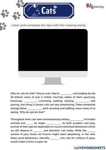 Listening B2 Cats