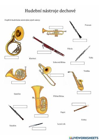 Hudební nástroje dechové