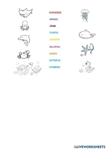 Sea animals