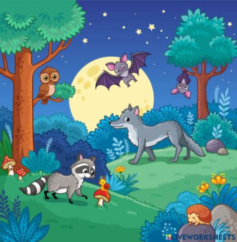 Woodland animals - night