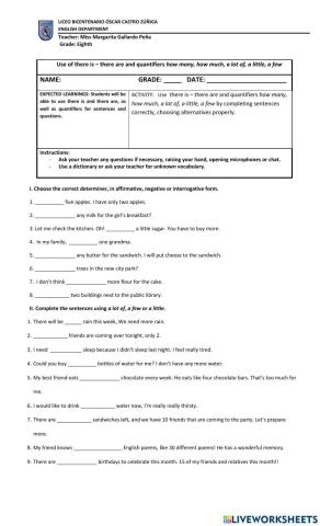 There is - there are and use of quantifiers how many - how much, a lot of, a little, a few
