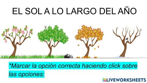 El sol a lo largo del año