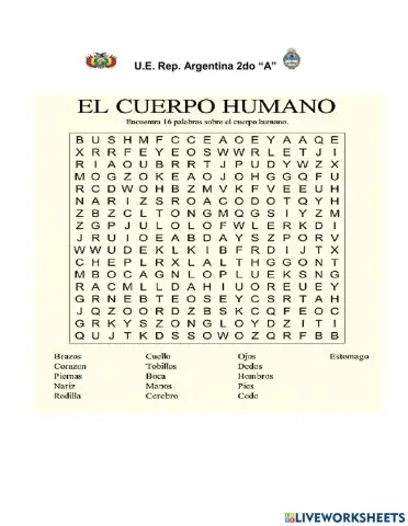 El Cuerpo Humano