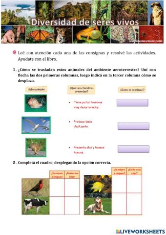 Diversidads de Seres Vivos -