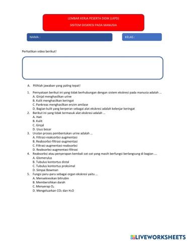 LKPD SISTEM EKSKRESI PADA MANUSIA