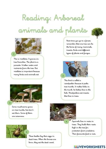 Reading: Arboreal animals and plants