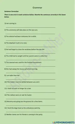 Grammar Worksheet-3