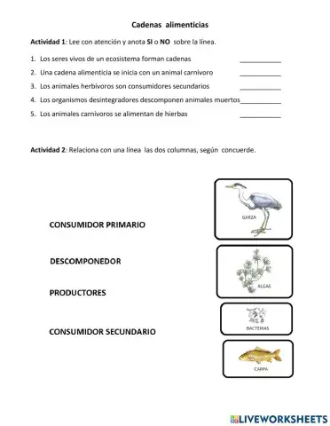 Cadenas alimenticias