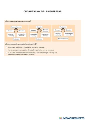 Organizacion empresas