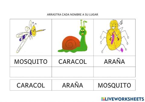 Lectura personajes Marisol the Snail