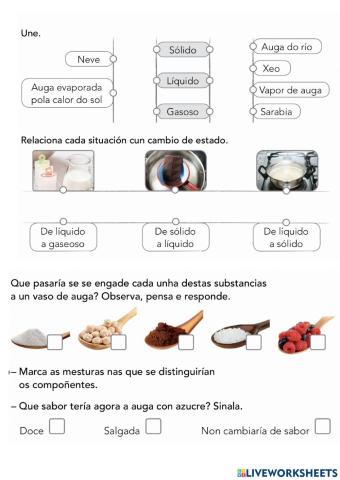 A materia e as forzas