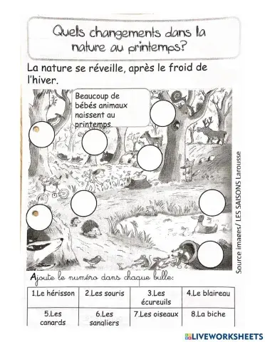 Changements du printemps