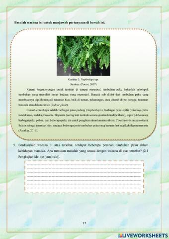 E-LKPD 2 Tumbuhan Paku (Pteridophyta) (5-6)