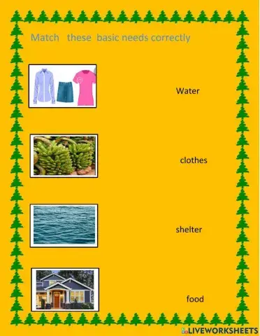 Basic needs of people