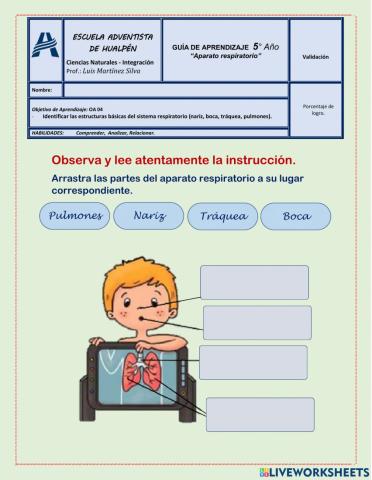 Aparato Respiratorio