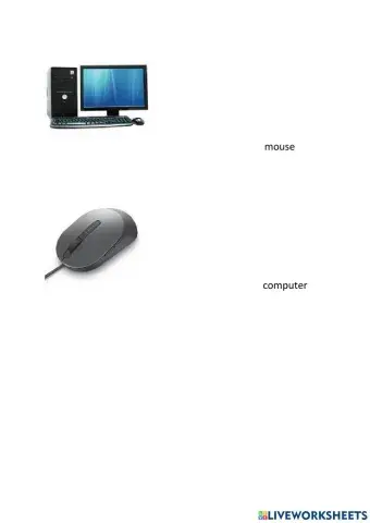 Pen Drive, Modem and microphone