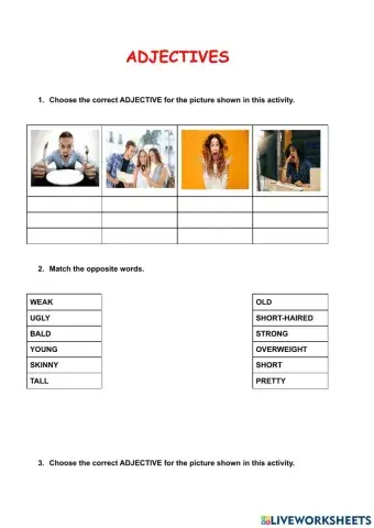 Descriptive adjectives