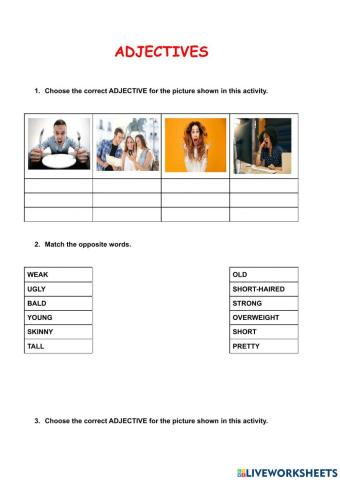 Descriptive adjectives