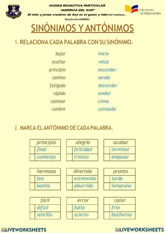 sinónimos y antónimos 