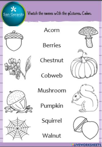 Fall vocabulary
