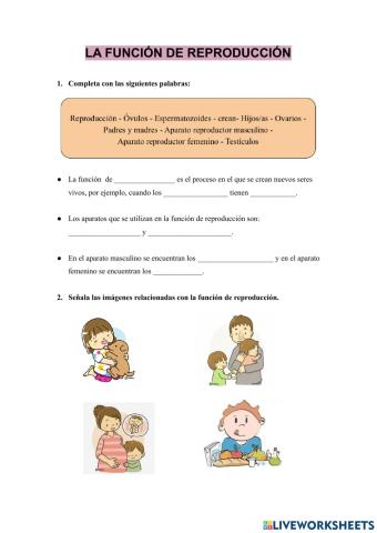 Función de reproducción