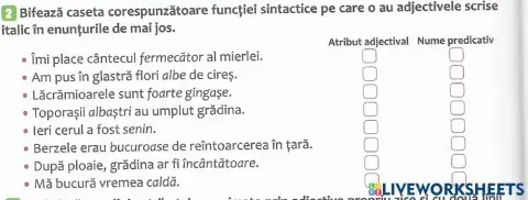 adjectivul - funcții sintactice
