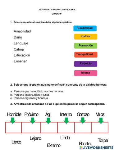 Sinónimos y antónimos