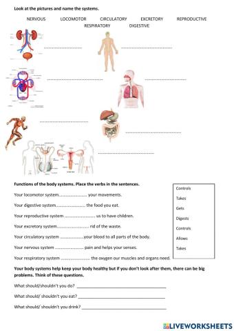 Intro to BODY SYSTEMS