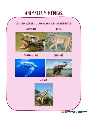 Medidas de animales