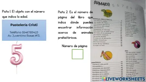 Detectives de números