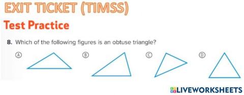 G5 EXIT Classify Triangles