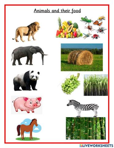 Animals and food