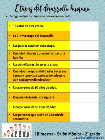 Etapas del desarrollo