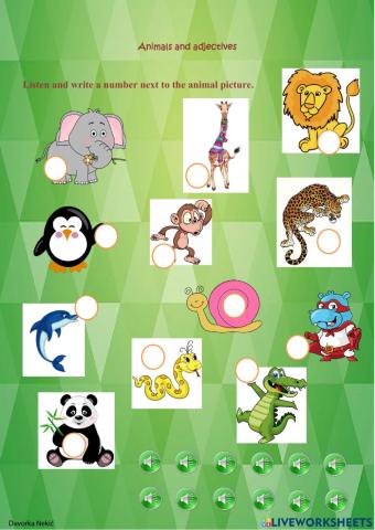 Animals & adjectives