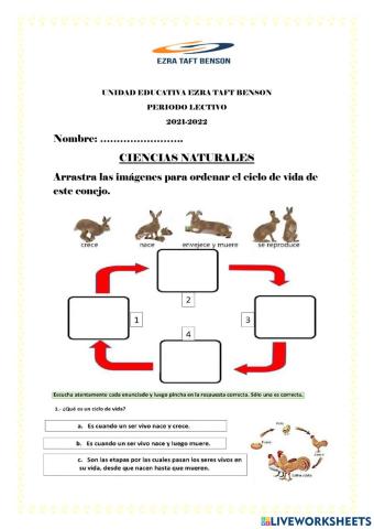 Ciclo de vida de los seres vivos