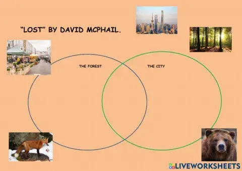 Lost by david mcphail