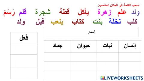 أنواع الكلمة