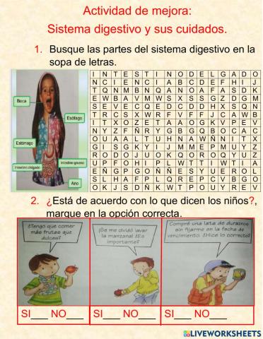 Actividad de mejora sis digestivo