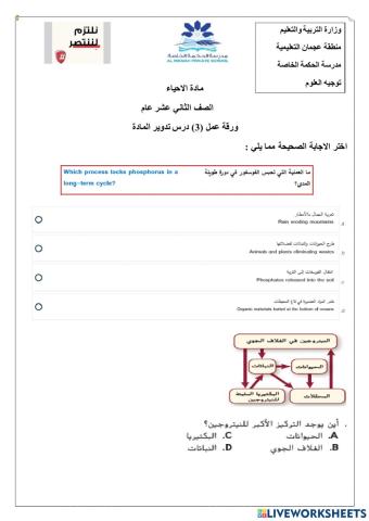 ورقة عمل تفاعلية