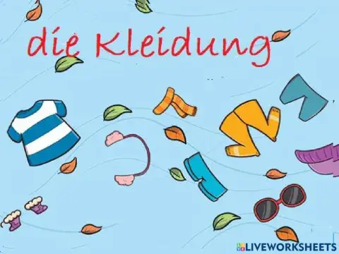 Die Kleidung