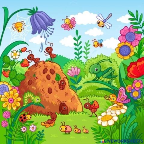 Meadow animals