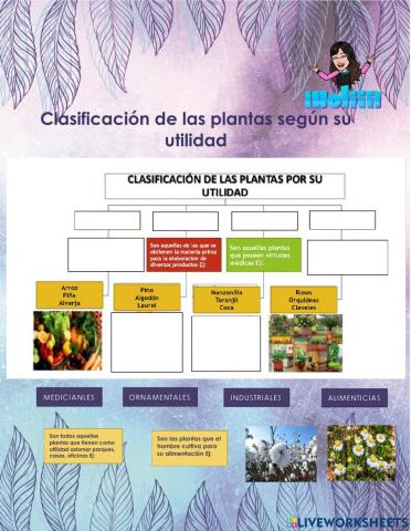Clasificación de las plantas