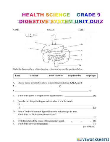 Health science unit quiz - DIGESTIVE SYSTEM