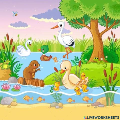 Pond animals