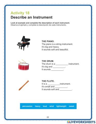 Describe an Instrument