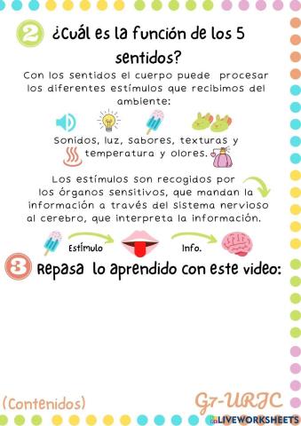 Los 5 sentidos - 2