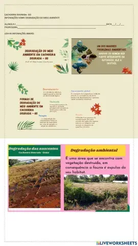 Degradação ao meio ambiente- Cachoeira Dourada - Go