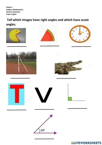 Acute or right angle worksheet