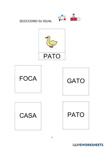 Lectoescritura global